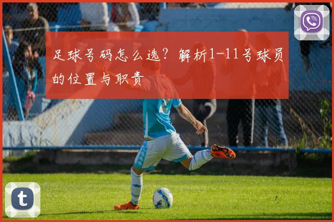 足球号码怎么选？解析1-11号球员的位置与职责