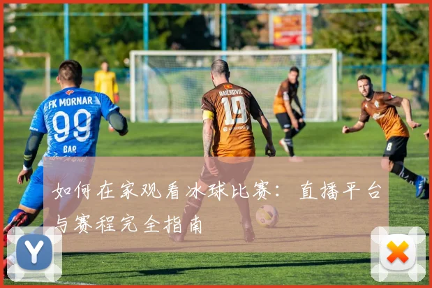 如何在家观看冰球比赛：直播平台与赛程完全指南